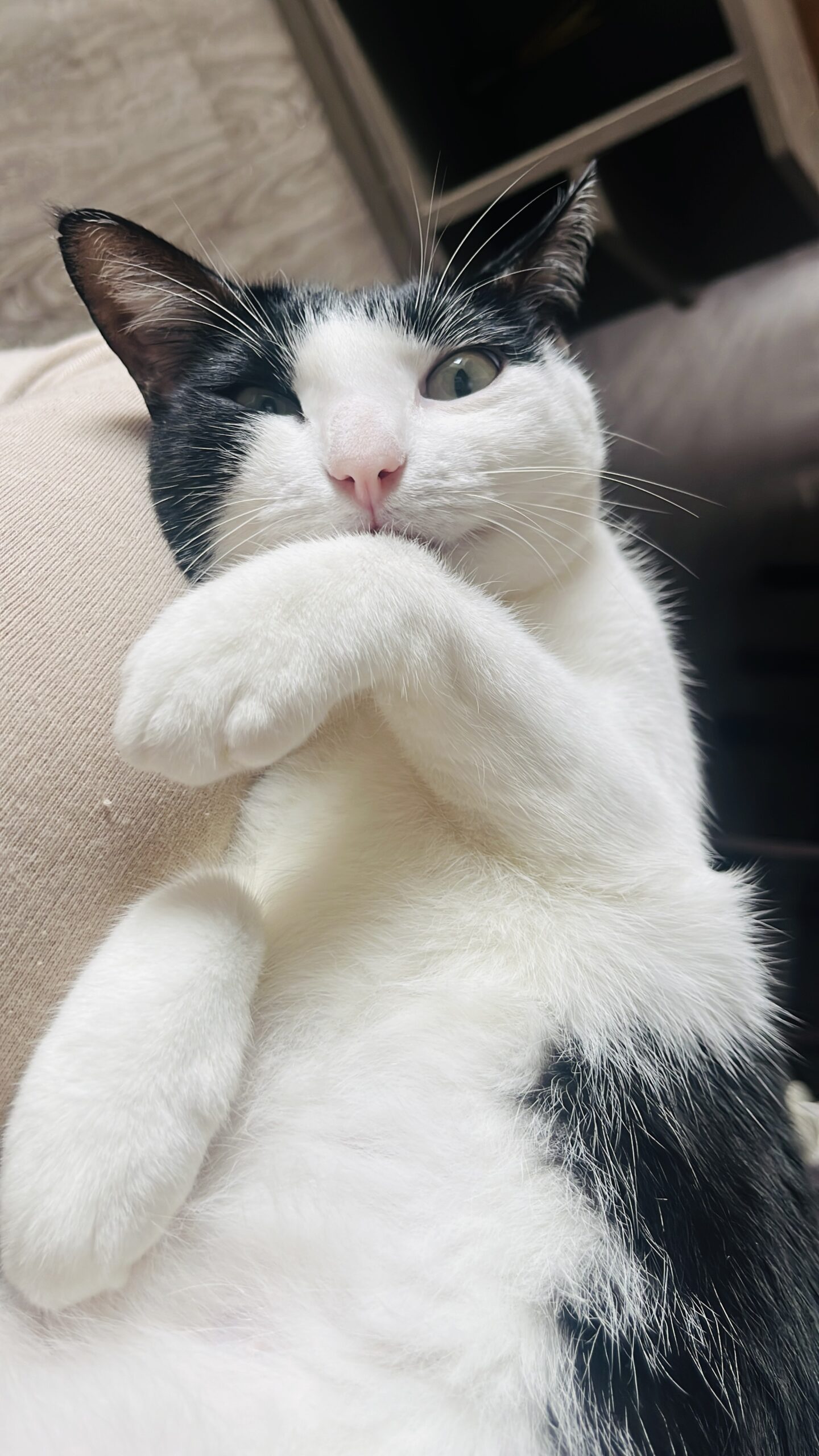 13A5BD87-34DA-4468-A704-4FE1BB8BA70F