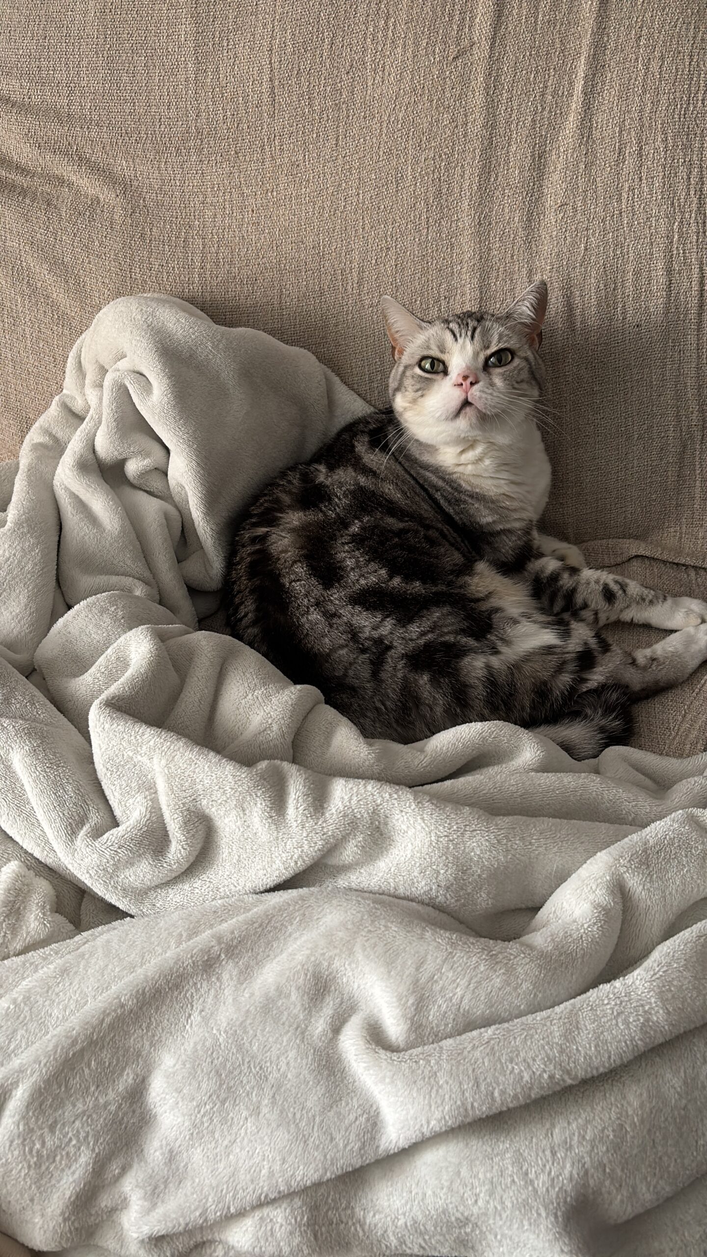 8C3BD40B-AF44-47B3-9BB3-0DAD8B29D285