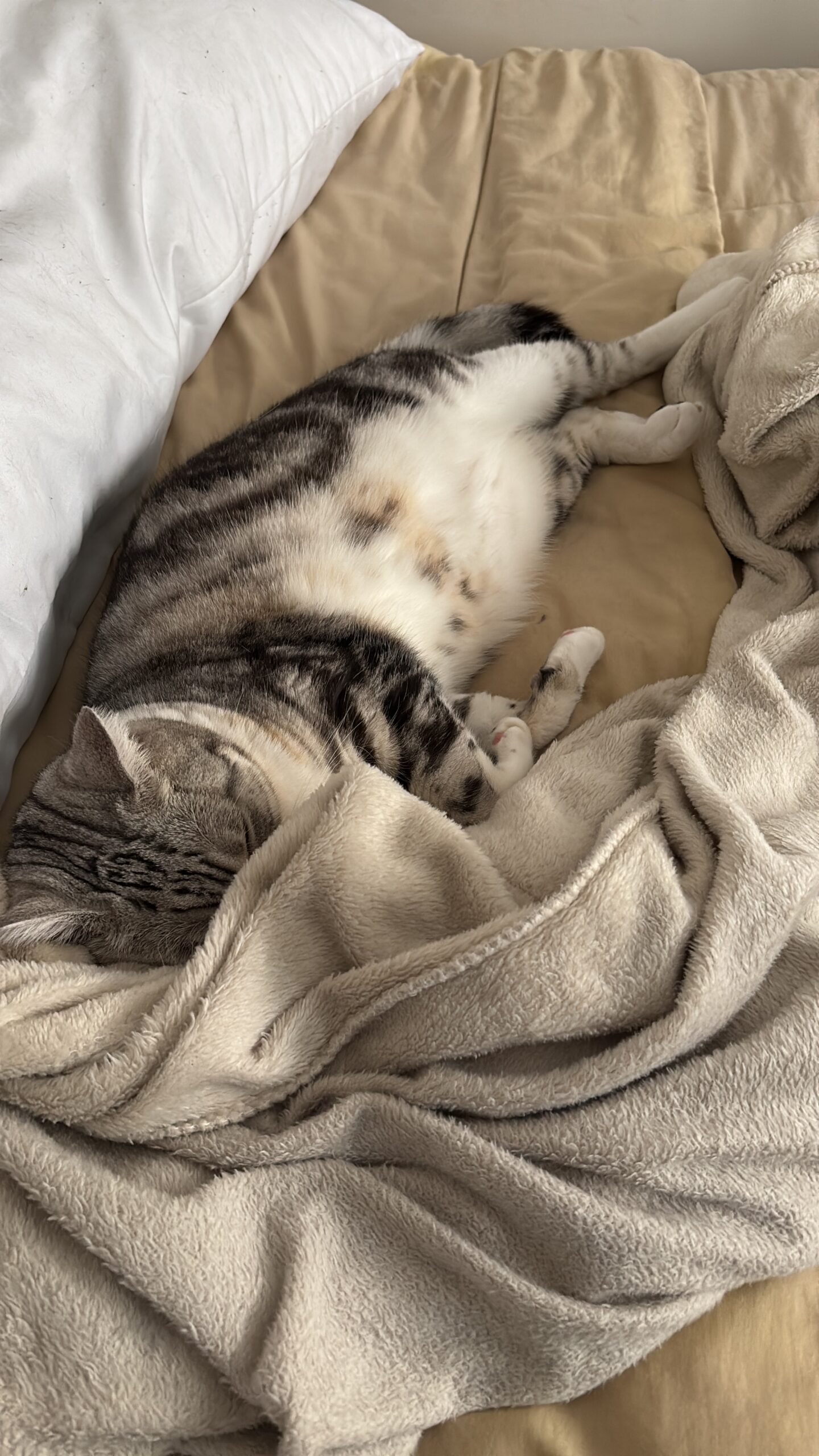 F34F7494-9DCD-4B39-BDA4-303BBC9CE95B