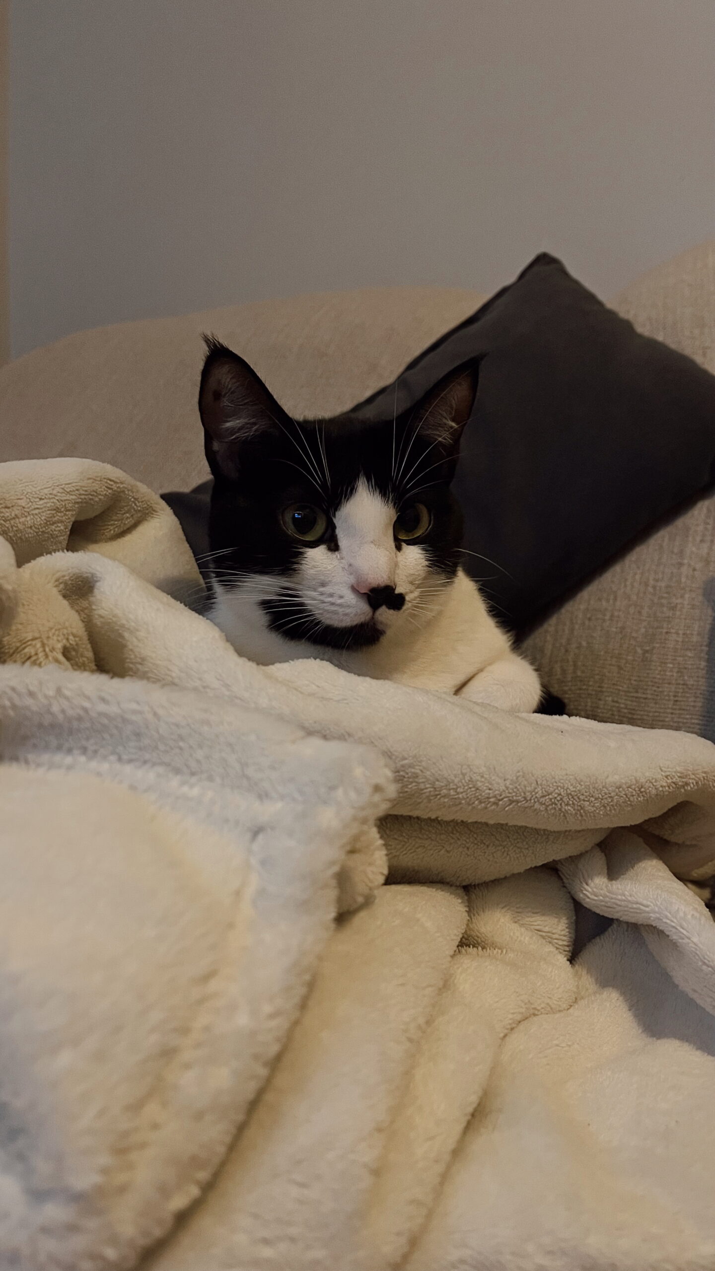 Edited in Tezza with: Vintage & Exposure