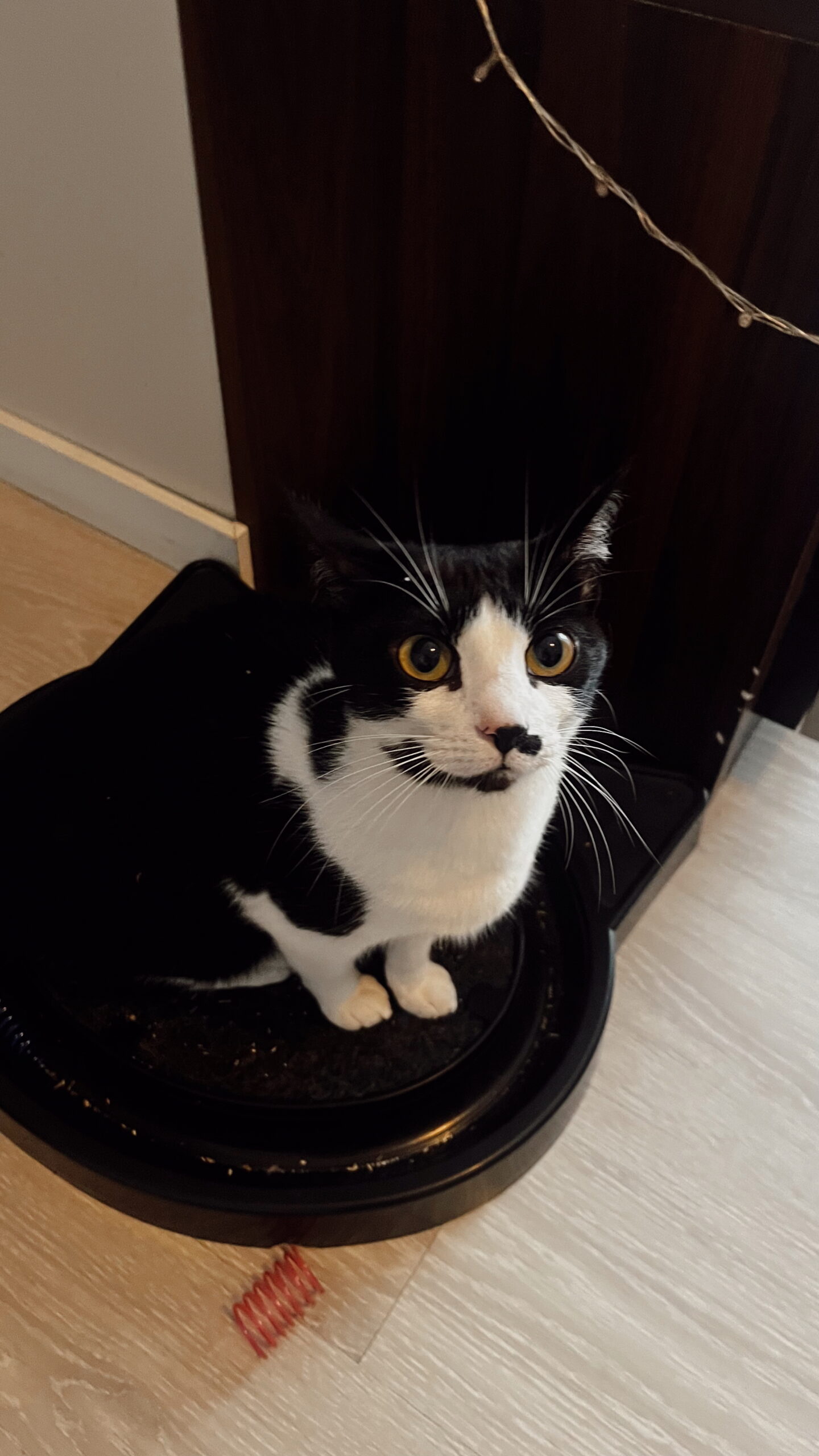 Edited in Tezza with: Vintage & Exposure