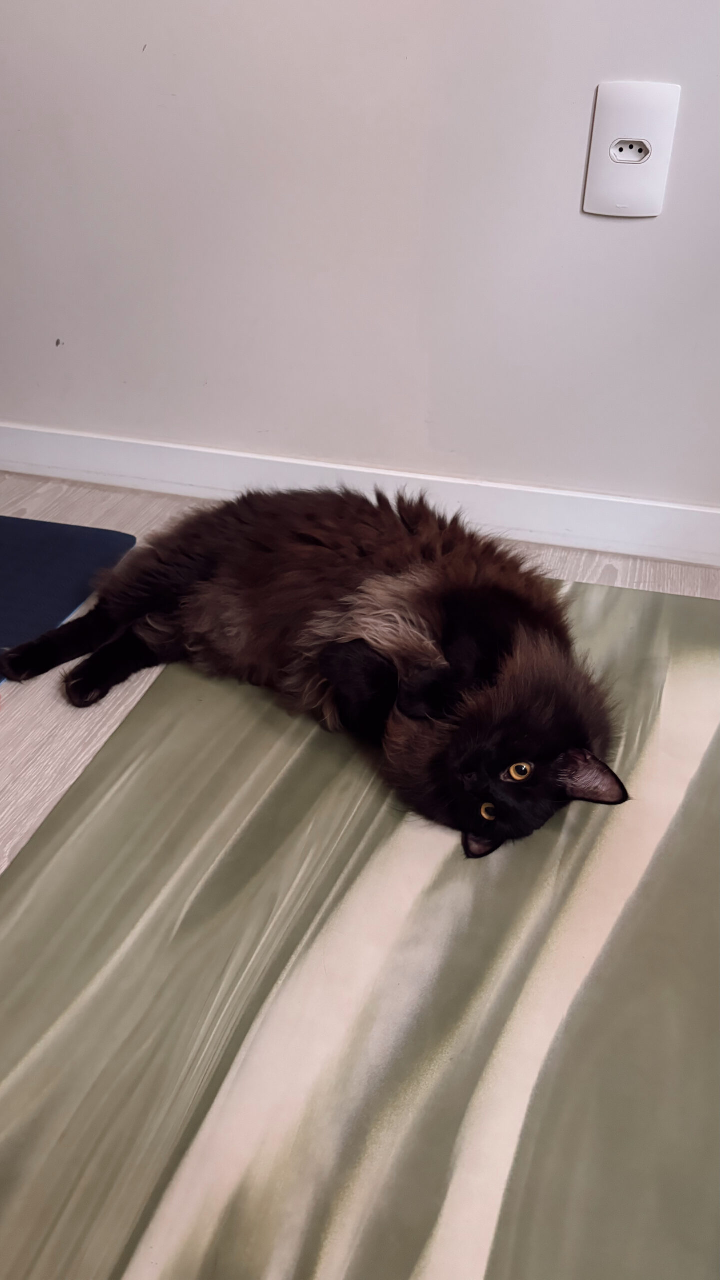 Edited in Tezza with: Vintage