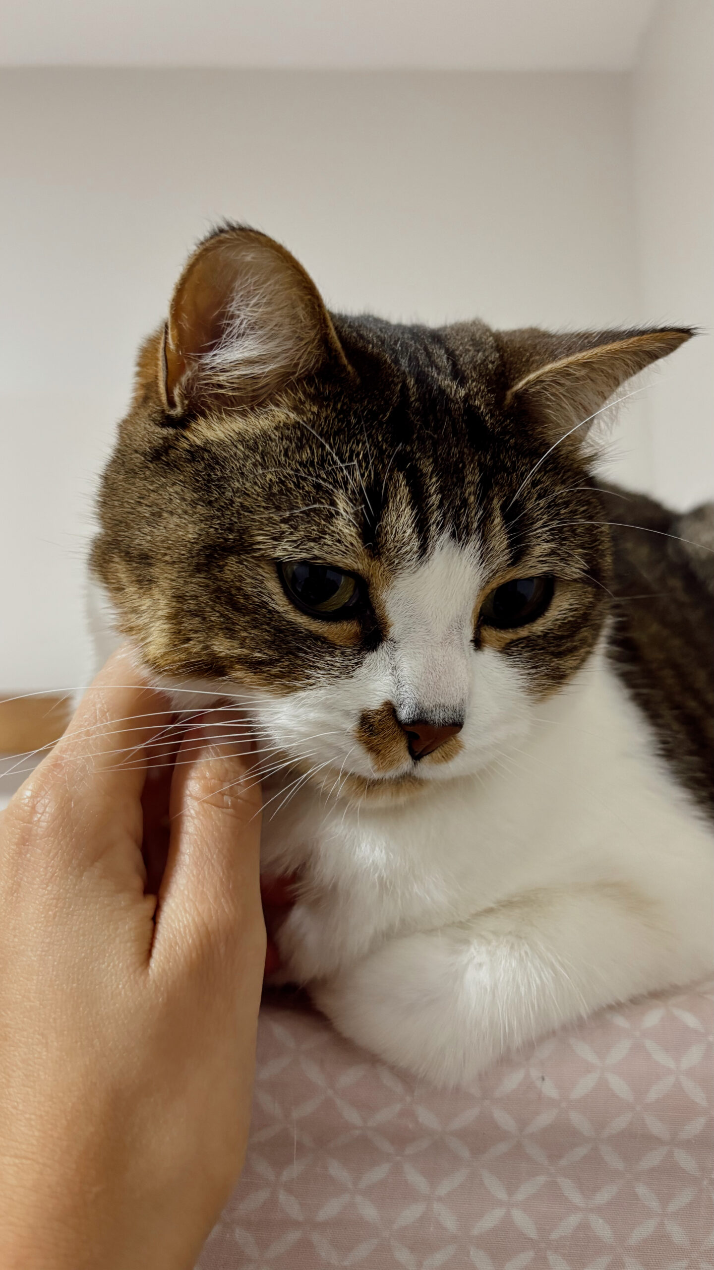 Edited in Tezza with: Vintage, Contrast, Saturation, & Exposure